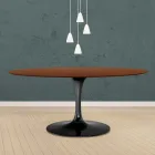 Tavolinë tulipani Eero Saarinen H 73 Oval në lis me njolla arre të errët Prodhuar në Itali - Scarlet Viadurini