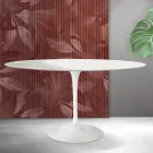 Tavolinë Tulip Saarinen H 74 cm e rrumbullakët në ngjyrë të bardhë Florim Qeramikë - Scarlet Viadurini
