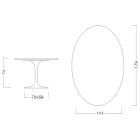 Tavolinë Tulipani Saarinen H 74 Ovale në Mermer Carrara Statuarietto Prodhuar në Itali - Scarlet Viadurini