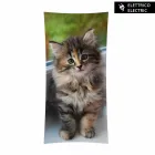 Dizenjoni dizajn termik elektrik me foto xhami të zbutur nga Barry Viadurini