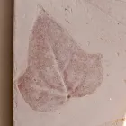 Llambë muri terrakote Toscot Vivaldi e bërë në Itali Viadurini