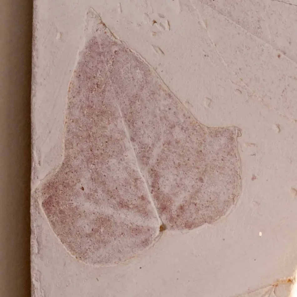 Llambë muri terrakote Toscot Vivaldi e bërë në Itali Viadurini