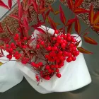 Vazo me Dizajn Dekorativ në Bardiglio ose Mermer Carrara Prodhuar në Itali - Prisma Viadurini