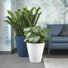 Vazo dekorative polietileni me ngjyrë të rrumbullakët Prodhuar në Itali - Mengo Viadurini