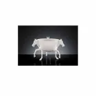 Vazo dekorative shtëpie në qeramikë të bardhë ose ari 24k prodhuar në Itali - Xhaka Viadurini