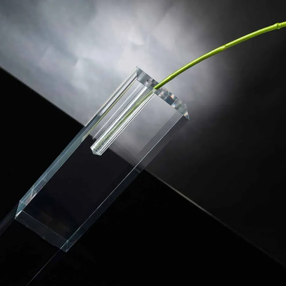 Vazo Lule Moderne Transparente me Plexiglas prodhuar në Itali - Unike Viadurini
