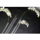 Vazo e mbyllur Plexiglass Indoor e prodhuar në Itali - Fortunato Viadurini